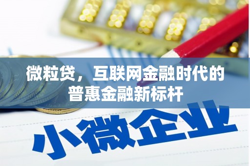 吴中微粒贷，互联网金融时代的普惠金融新标杆