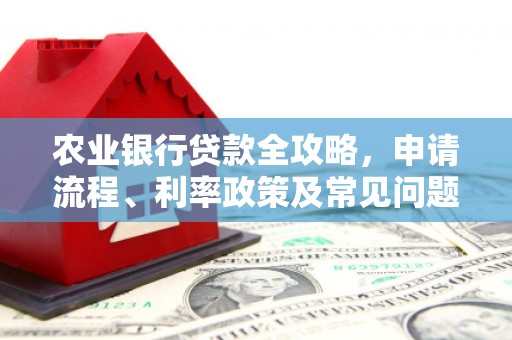 吴中农业银行贷款全攻略，申请流程、利率政策及常见问题解析