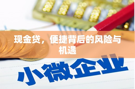 吴中现金贷，便捷背后的风险与机遇