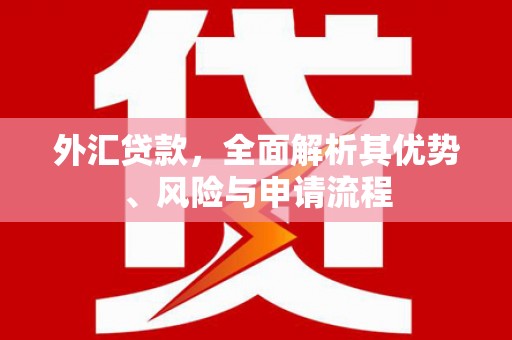 吴中外汇贷款，全面解析其优势、风险与申请流程