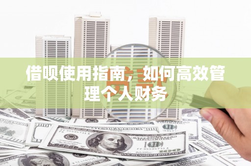 吴中借呗使用指南，如何高效管理个人财务