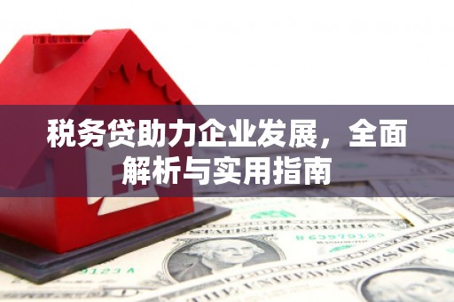 吴中税务贷助力企业发展，全面解析与实用指南