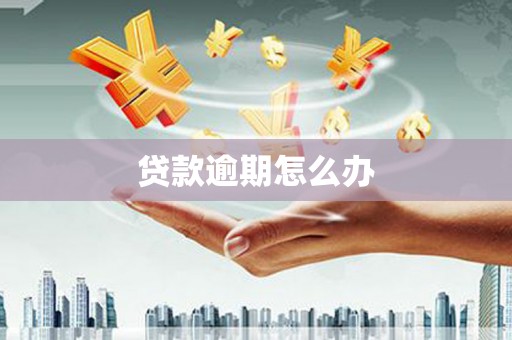 吴中贷款逾期怎么办