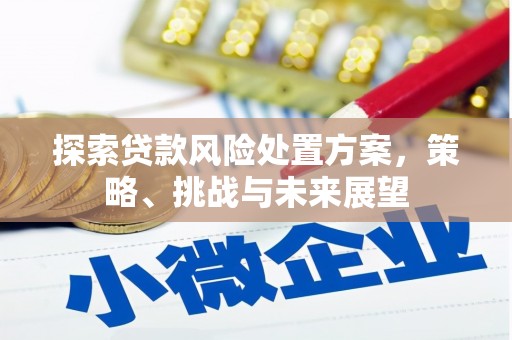 吴中探索贷款风险处置方案，策略、挑战与未来展望