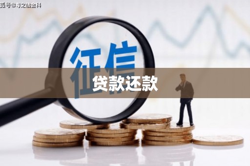 吴中贷款还款