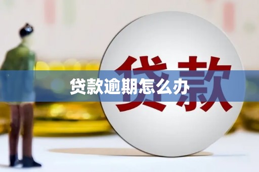 吴中贷款逾期怎么办