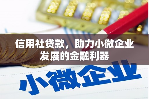 吴中信用社贷款，助力小微企业发展的金融利器