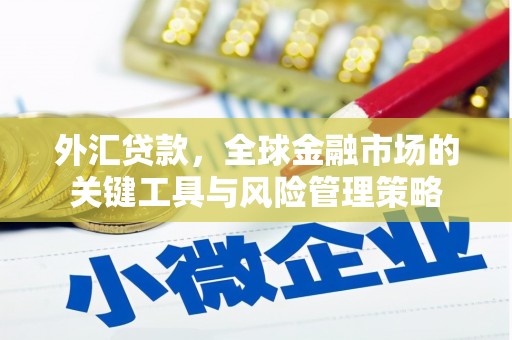 吴中外汇贷款，全球金融市场的关键工具与风险管理策略