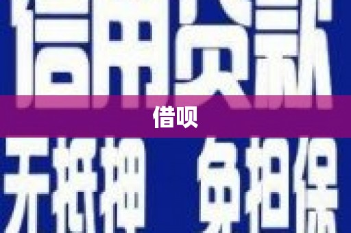 吴中借呗