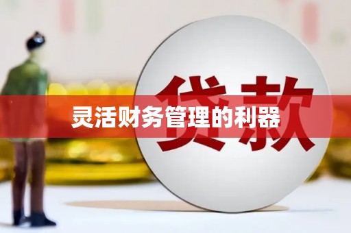吴中灵活财务管理的利器