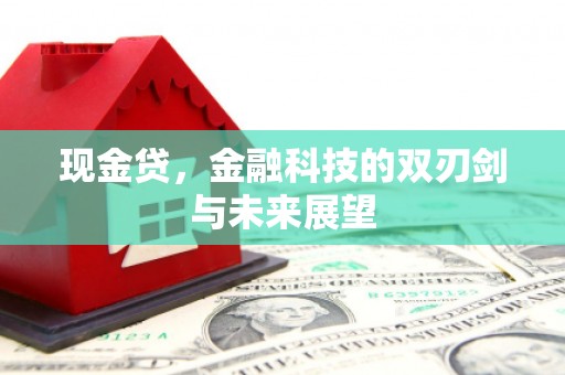 吴中现金贷，金融科技的双刃剑与未来展望