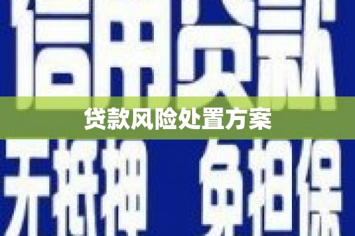 吴中贷款风险处置方案
