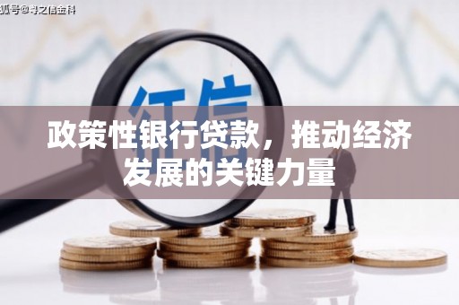 吴中政策性银行贷款，推动经济发展的关键力量
