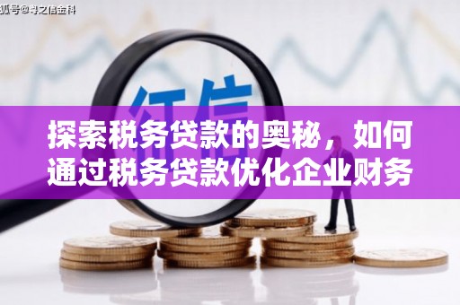 吴中探索税务贷款的奥秘，如何通过税务贷款优化企业财务