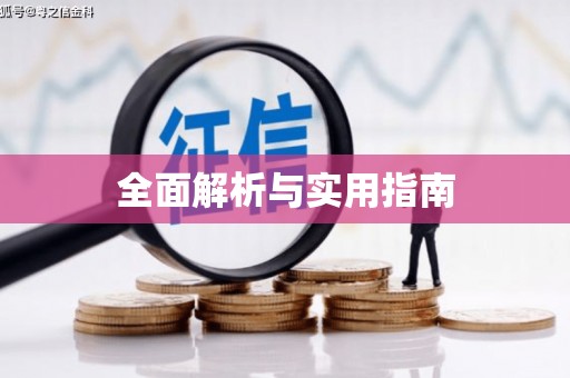 吴中全面解析与实用指南