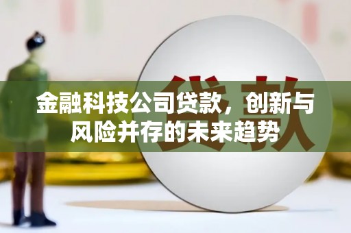 吴中金融科技公司贷款，创新与风险并存的未来趋势