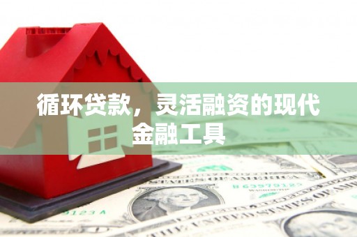 吴中循环贷款，灵活融资的现代金融工具