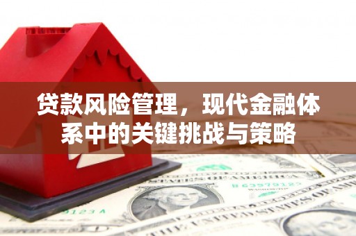 吴中贷款风险管理，现代金融体系中的关键挑战与策略