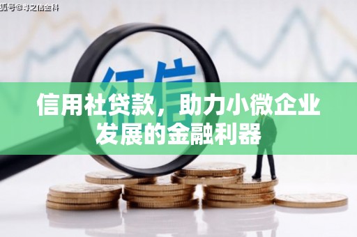 吴中信用社贷款，助力小微企业发展的金融利器