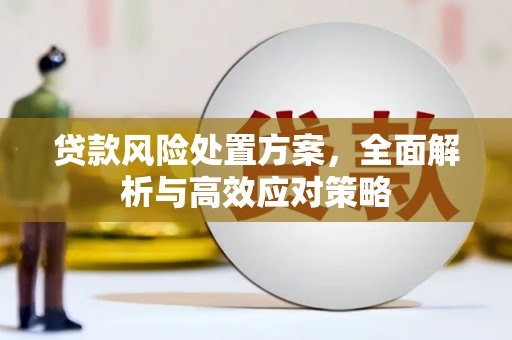 吴中贷款风险处置方案，全面解析与高效应对策略