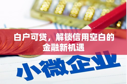 吴中白户可贷，解锁信用空白的金融新机遇