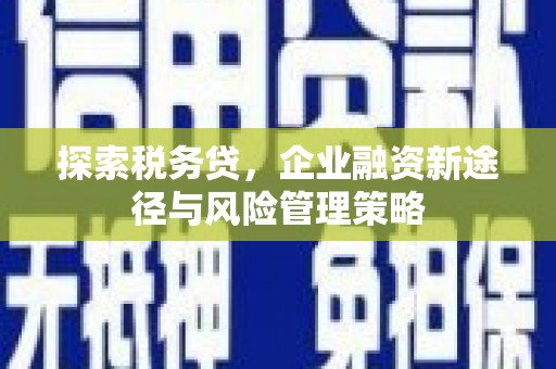 吴中探索税务贷，企业融资新途径与风险管理策略