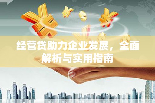 吴中经营贷助力企业发展，全面解析与实用指南