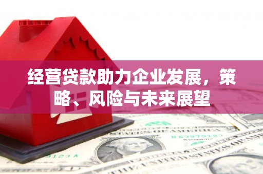 吴中经营贷款助力企业发展，策略、风险与未来展望