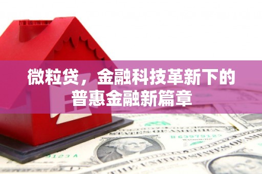 吴中微粒贷，金融科技革新下的普惠金融新篇章