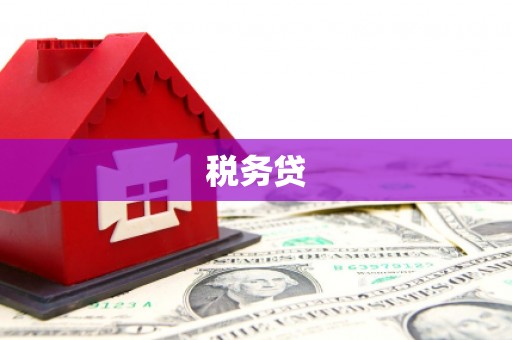 吴中税务贷