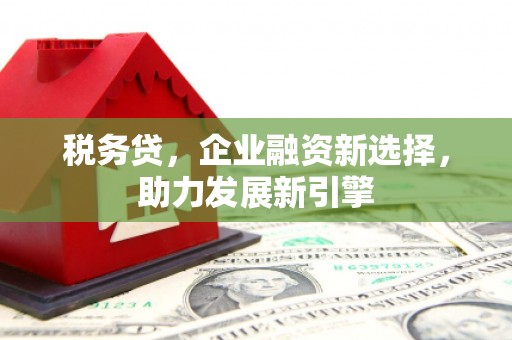 吴中税务贷，企业融资新选择，助力发展新引擎