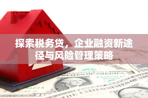 吴中探索税务贷，企业融资新途径与风险管理策略