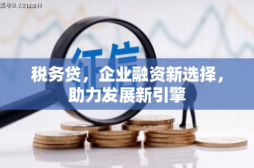吴中税务贷，企业融资新选择，助力发展新引擎