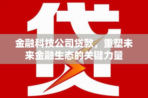 吴中金融科技公司贷款，重塑未来金融生态的关键力量