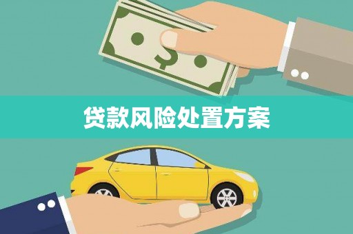 吴中贷款风险处置方案