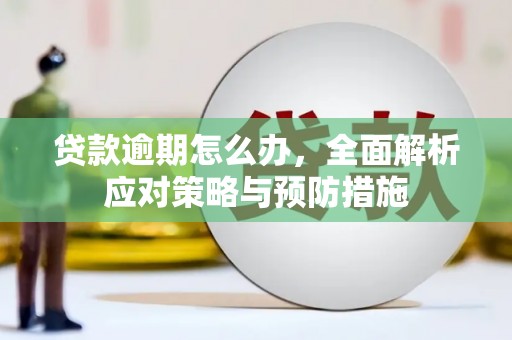 吴中贷款逾期怎么办，全面解析应对策略与预防措施