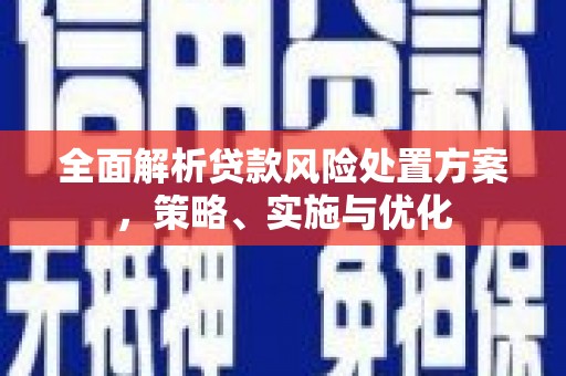 吴中全面解析贷款风险处置方案，策略、实施与优化