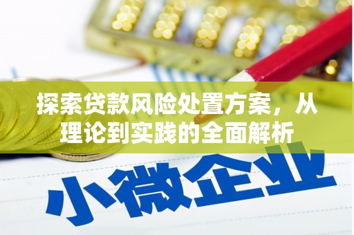 吴中探索贷款风险处置方案，从理论到实践的全面解析