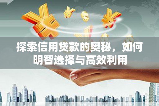 吴中探索信用贷款的奥秘，如何明智选择与高效利用
