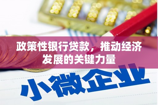 吴中政策性银行贷款，推动经济发展的关键力量
