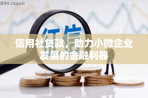 吴中信用社贷款，助力小微企业发展的金融利器
