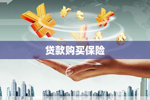 吴中贷款购买保险