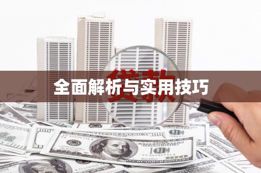 吴中全面解析与实用技巧