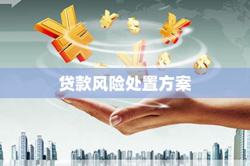 吴中贷款风险处置方案