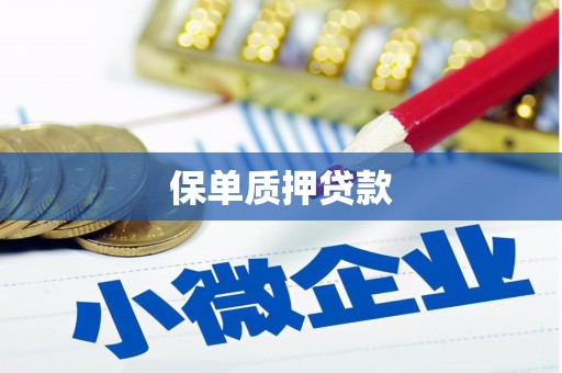 吴中保单质押贷款