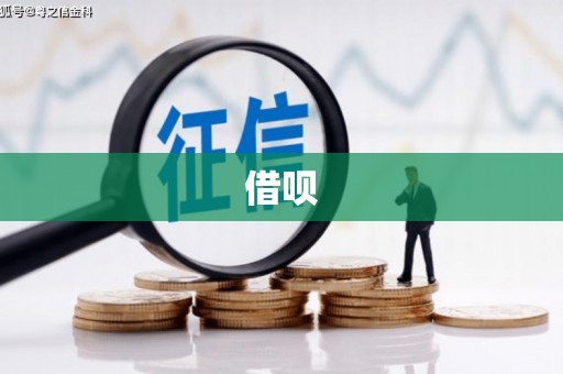 吴中借呗