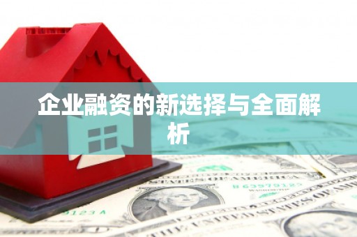 吴中企业融资的新选择与全面解析