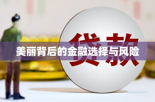 吴中美丽背后的金融选择与风险