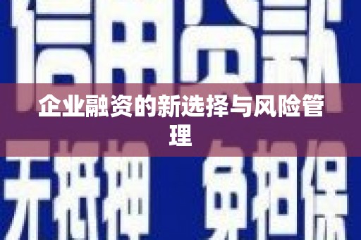吴中企业融资的新选择与风险管理