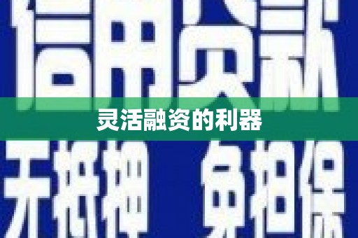吴中灵活融资的利器